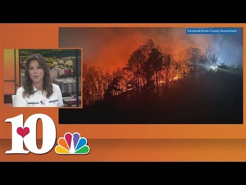 Burn ban issued in Sevier County after brush fires