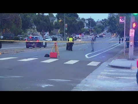 Pedestrian dies after being hit by car in Oak Park