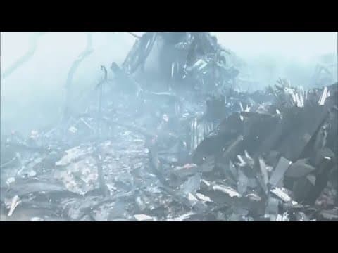 Latest: 1 survives, hundreds killed in plane crash in India