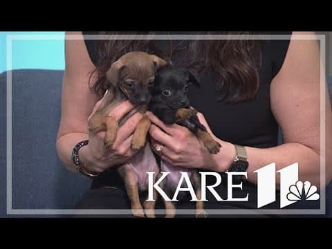 Give to the Max: The Bond Between