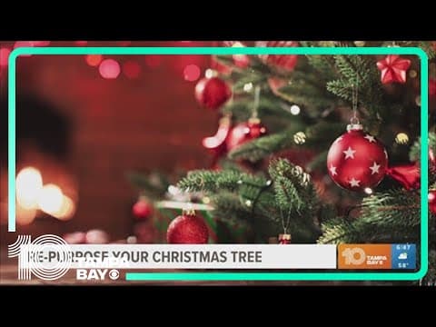 Re-purpose your Christmas Tree