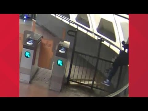 WATCH: Person falls from mezzanine while trying to climb over fare gate