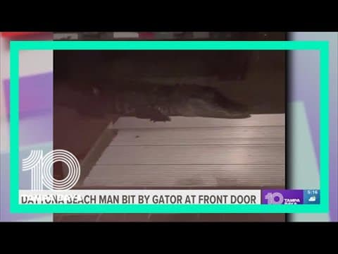 Florida man bit by alligator after opening door