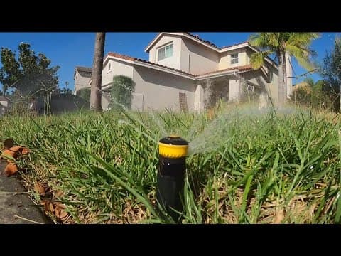 How to protect your plants from damage during a heat wave