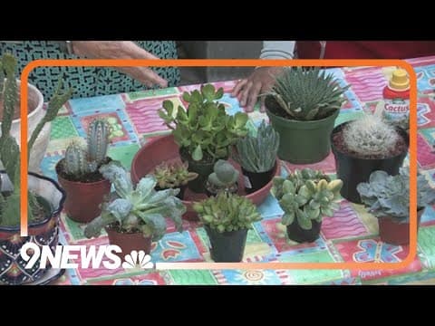 Proctor's Garden: Gardening for those without a green thumb