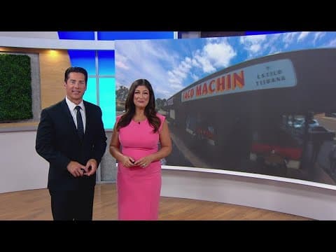 Taco Machin | Shop Local