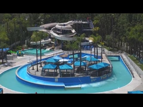 Exploring the Wave Waterpark in Vista