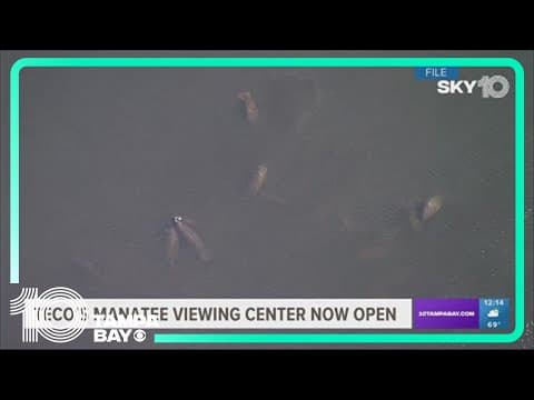 TECO's Manatee Viewing Center now open to public