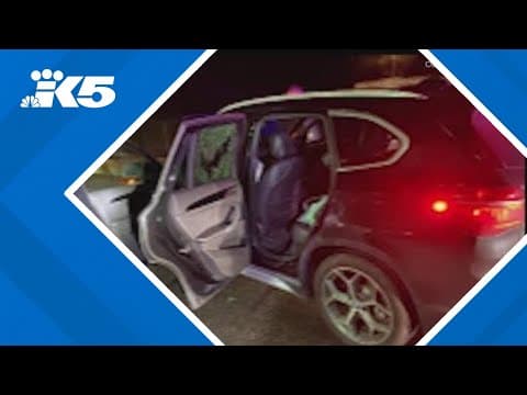 Authorities release description of suspect who opened fire at car on I-405