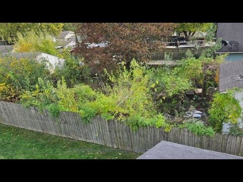 Resident frustrated his complaint about neighbor's tall weeds is unresolved I What's the Deal?