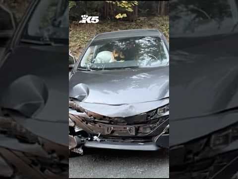 Man shoots estranged wife's new boyfriend after child exchange