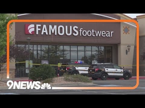 Suspect fleeing from shoplifting incident, hit and killed by Pueblo patrol car