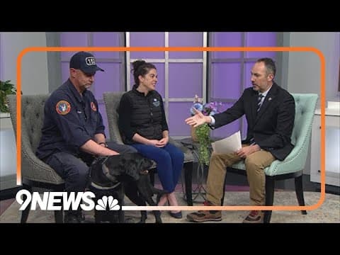 Colorado group offers free eye exams for service dogs