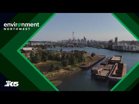 Decade-long Duwamish River cleanup started