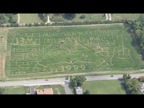 Taylor Swift themed corn maze opens this weekend in Maryland
