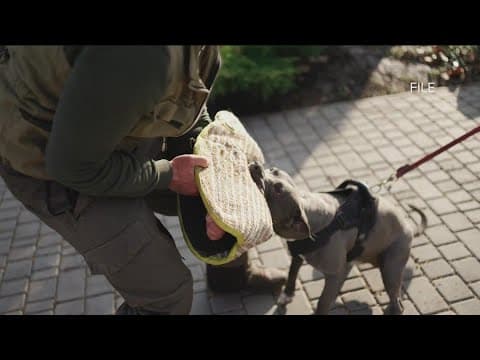 CA bill would prohibit use of police K9s for arrests and crowd control