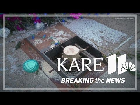 Northfield rallies after town tree cut down