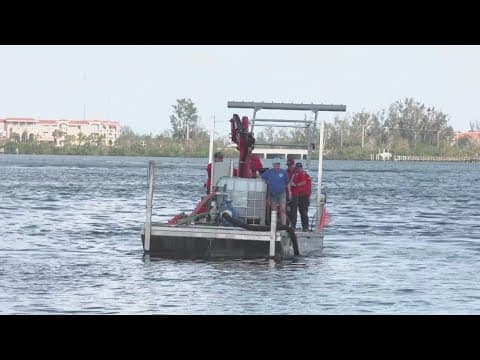 Scientists in Florida conduct first-of-its-kind red tide mitigation field test