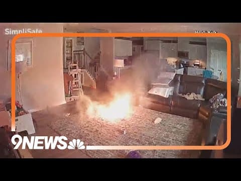 Dog starts lithium battery fire