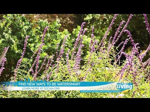 Find new ways to be WaterSmart | Small decisions make a big impact in conserving water