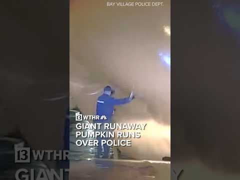 Giant runaway pumpkin runs over police | Via:NBC