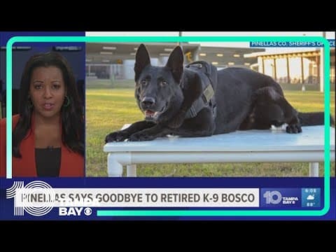 Beloved Pinellas County deputy K-9, who caught more than 200 suspects, dies