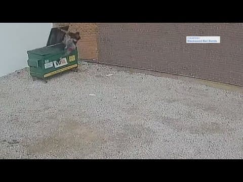 Surveillance video shows chase, hiding spot of suspect who escaped, recaptured in downtown Houston