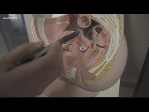 The White Dress Project to host annual Empowerment Experience