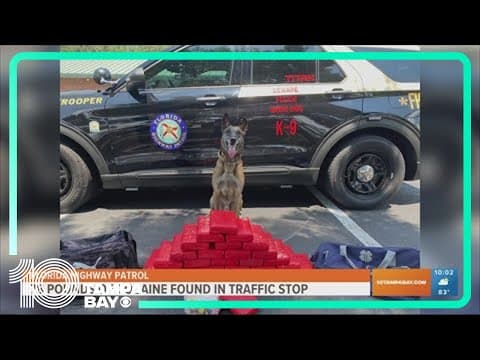 78 pounds of cocaine found during traffic stop in Tampa