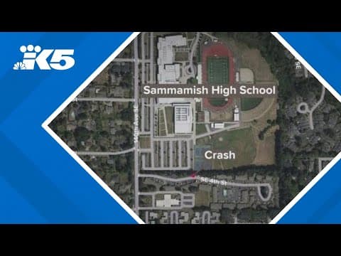 3-year-old child struck, killed by car in Bellevue