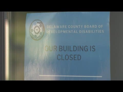 Colony of 100 bats found inside government building in Lewis Center