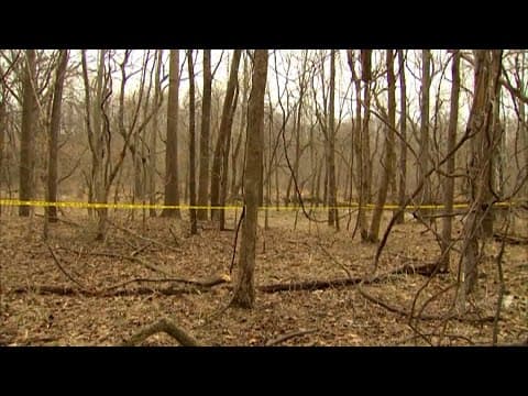 Ballistics expert takes witness stand | Day 7 of Delphi murders trial