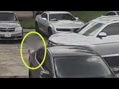 Video shows what happened just before toddler was hit, killed by Uber driver