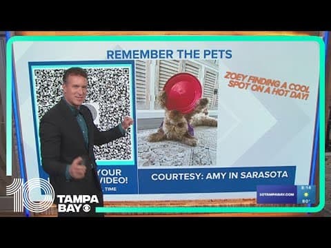 10 Tampa Bay: Sunday morning forecast; May 26, 2024