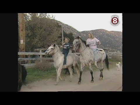 Magoffin family of Barrett Junction 1988