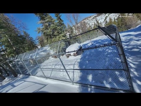 Humane Society back after feeding pets stuck in snow