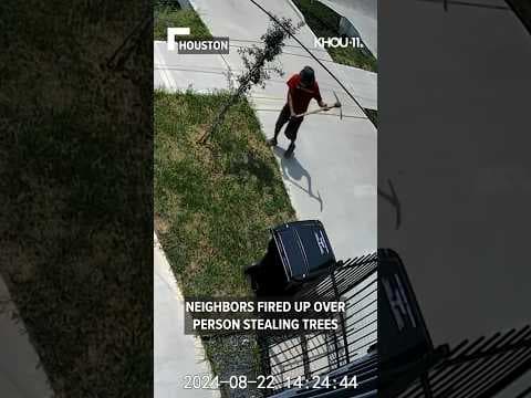This isn't your typical landscape work. This happened in Houston, showing someone stealing trees. 🌳