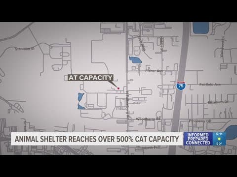 Adoption fees waived at Hillsborough County Pet Resource Center as shelter faces capacity issues