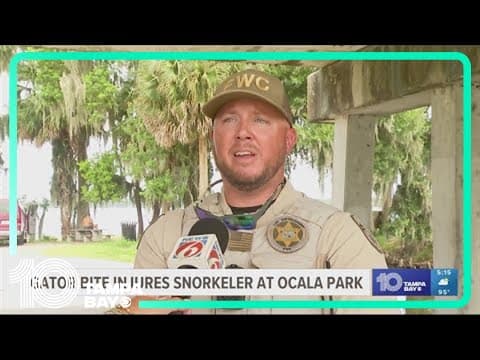 Gator bites snorkeler at central Florida park
