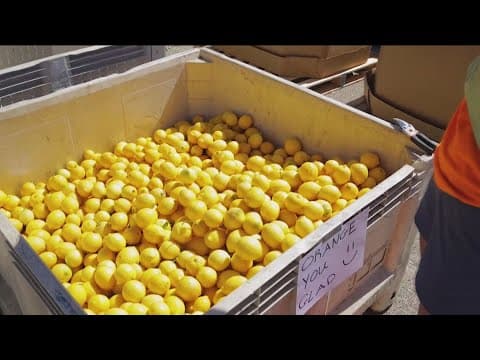 ProduceGood | Helping connect those in need with local food