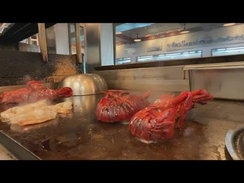 Have lobster prices really gone down?