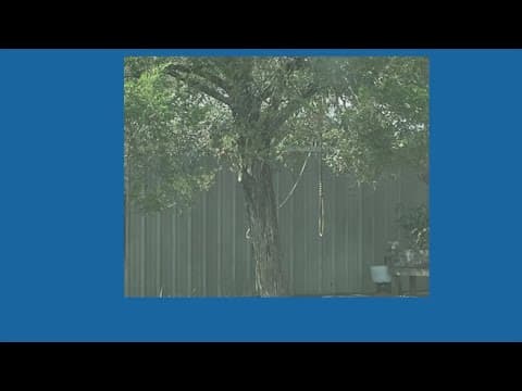 Texas mother with 2 Black children says neighbor hung noose in his yard to threaten them