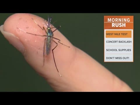 Frisco will spray for mosquitoes after a pool tested positive for West Nile