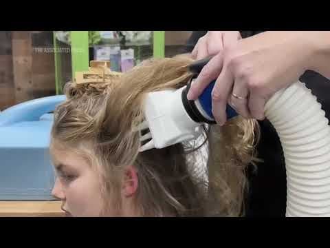 Lice concerns rise as children return to school. Here's what parents can do