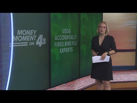 Money Moment on 4: USDA accidentally fired bird flu experts, free business planning workshop for ent