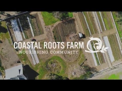 Coastal Roots Farm's Tu B’Shvat Food Forest Festival Sunday