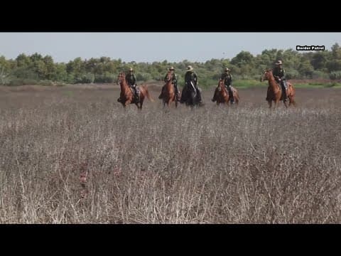 Horse Patrol unit returns to San Diego Sector