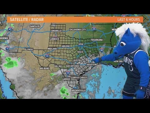 Dallas Mavs mascot Champ does the weather for WFAA