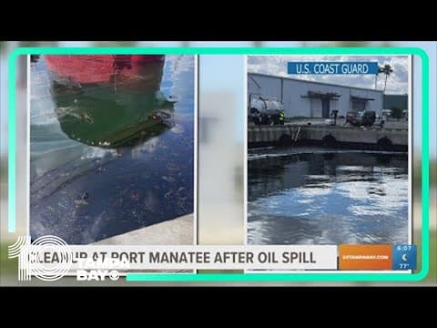 Cleanup at Port Manatee after oil spill