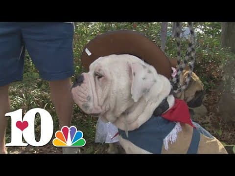 UT Gardens to hold 'Howl-O-Ween Pooch Parade and Expo' on Sunday